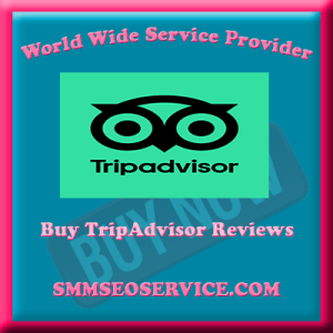 Buy TripAdvisor Reviews